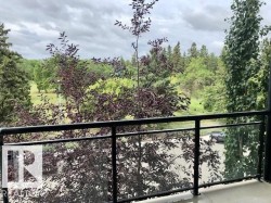 330 10531 117 Street  Edmonton, AB T5H 0A8