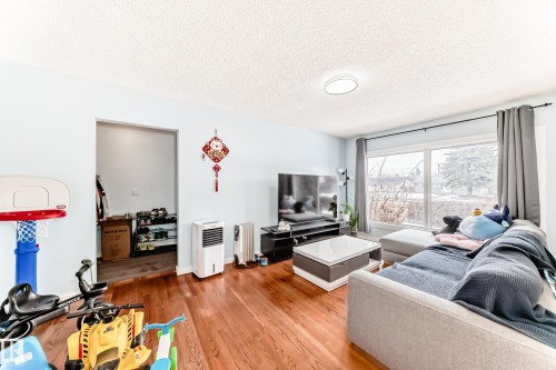 10928 149 Street, Edmonton, AB - Indoor Photo Showing Living Room