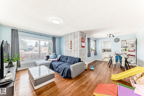 10928 149 Street, Edmonton, AB - Indoor Photo Showing Living Room
