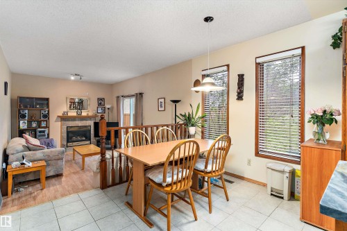 1863 104 Street, Edmonton, AB - Indoor With Fireplace
