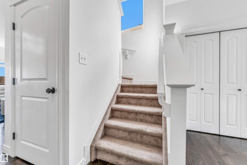 Carpeted staircase with white trim, featuring a white painted newel post and balustrade - 2292 Casey Crescent, Edmonton, AB - Indoor Photo Showing Other Room