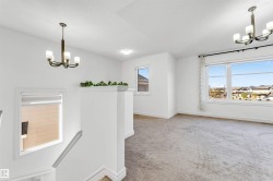 Open concept upper-level space featuring broadloom carpeting and multiple windows - 