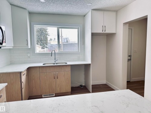 4843 115 Avenue, Edmonton, AB - Indoor Photo Showing Kitchen With Double Sink