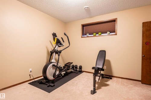 Carpeted room with a horizontal window featuring a wood-finish frame and light-toned walls - 19 Newton Place, St. Albert, AB - Indoor Photo Showing Gym Room