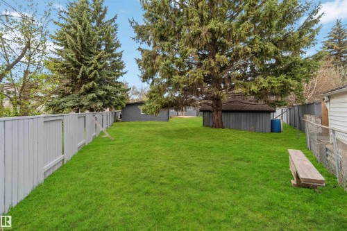 14627 60 Street, Edmonton, AB - Outdoor With Backyard