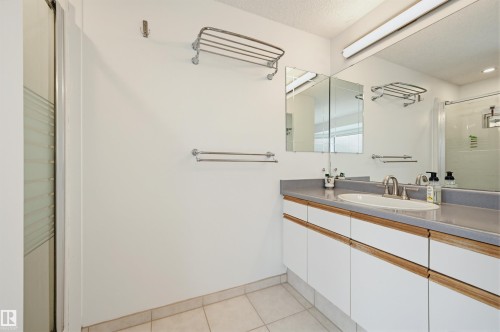 Bathroom with white vanity featuring wood-finish accents and a single undermount sink - 317 Hollick-Kenyon Road, Edmonton, AB - Indoor Photo Showing Bathroom