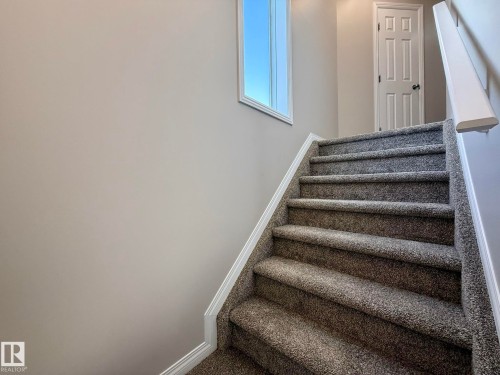 BRAND NEW PLUSH CARPET WITH 8lb UNDERLAY FOR A SOFT THINK FEEL ON THE FEET! - 645 Windross Crescent, Edmonton, AB 