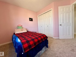 ANOTHER PHOTO OF THE 2nd UPSTAIRS BEDROOM WITH PINK WALLS & THE NEW PLUSH CARPETING! - 