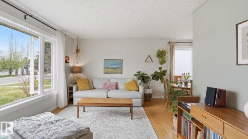 10651 61 Street, Edmonton, AB - Indoor Photo Showing Living Room