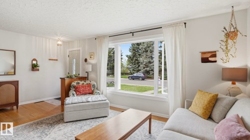10651 61 Street, Edmonton, AB - Indoor Photo Showing Living Room