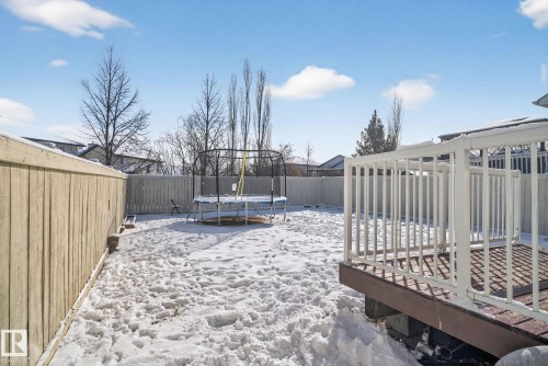 Expansive backyard featuring a wood-finish fence, a raised deck with white railings, and mature trees in the background - 421 84 Street, Edmonton, AB - Outdoor