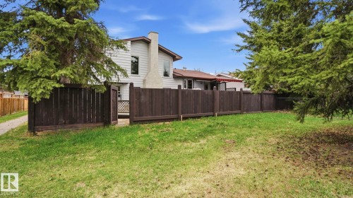 Expansive grassy yard with mature evergreen trees and a full-height privacy fence - 27 Addison Crescent, St. Albert, AB - Outdoor