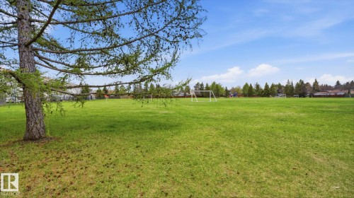 Expansive green field featuring a large evergreen tree in the foreground - 27 Addison Crescent, St. Albert, AB - Outdoor With View