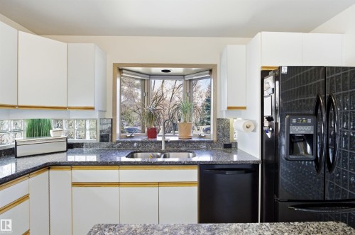 1116 111A Street, Edmonton, AB - Indoor Photo Showing Kitchen With Double Sink