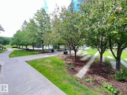 Manicured grounds featuring mature trees, concrete pathways, and planted garden beds - 