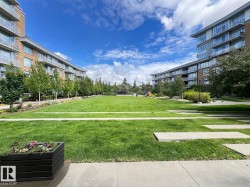 Expansive central green space featuring a manicured lawn, mature trees, and landscaped borders - 