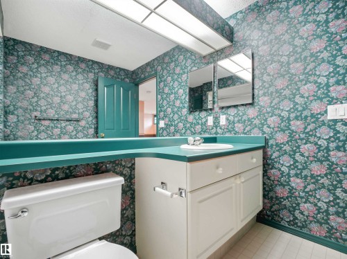 146 Oeming Road, Edmonton, AB - Indoor Photo Showing Bathroom