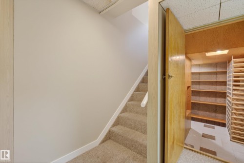 Carpeted staircase with white handrail and baseboards, featuring a wooden door opening to an additional storage area with built-in shelving - 12016 51 Street, Edmonton, AB - Indoor Photo Showing Other Room