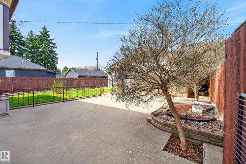 Spacious concrete patio area featuring a landscaped tree bed with stone retaining wall - 12016 51 Street, Edmonton, AB - Outdoor