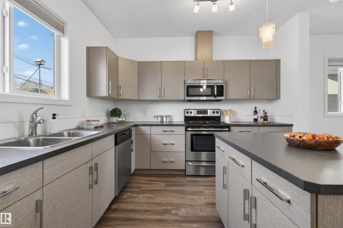 11904 45 Street, Edmonton, AB - Indoor Photo Showing Kitchen With Double Sink