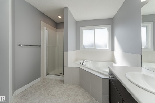 411 Watt Boulevard, Edmonton, AB - Indoor Photo Showing Bathroom