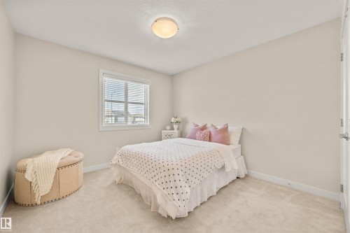 2256 Casey Crescent, Edmonton, AB - Indoor Photo Showing Bedroom