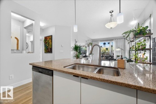 103 2590 Anderson Way, Edmonton, AB - Indoor Photo Showing Kitchen With Double Sink