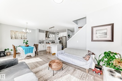 This open-concept living area features light-toned flooring, a bright dining space with a chandelier, and a kitchen with white cabinetry and stainless steel appliances - 19635 29 Avenue, Edmonton, AB - Indoor
