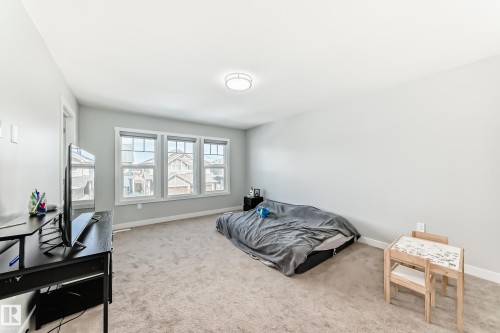 This room features carpeted flooring, light grey walls, and a light fixture on the ceiling - 19635 29 Avenue, Edmonton, AB - Indoor Photo Showing Bedroom
