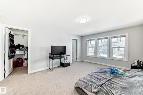 This room features light grey walls, carpeted flooring, and three windows providing natural light - 19635 29 Avenue, Edmonton, AB - Indoor Photo Showing Bedroom