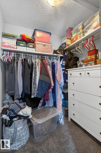 Walk-in closet with built-in shelving, hanging rods, and textured carpeting - 108 Hewitt Circle, Spruce Grove, AB - Indoor With Storage
