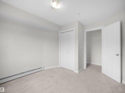 Neutral-toned wall paint and plush carpet flooring - 