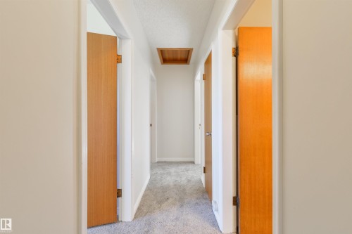 Hallway featuring light gray carpet, white painted walls, and multiple wood-paneled doors with brass hardware - 6134 37A Avenue, Edmonton, AB 