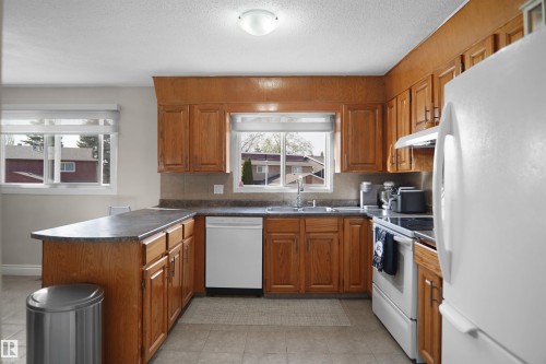 10648 158 Avenue, Edmonton, AB - Indoor Photo Showing Kitchen With Double Sink