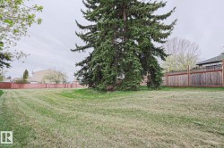 Expansive green lawn with a large evergreen tree - 