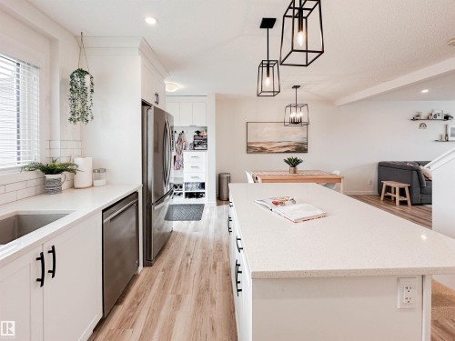 21019 130 Avenue, Edmonton, AB - Indoor Photo Showing Kitchen