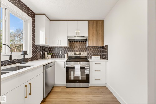 17312 108 Street, Edmonton, AB - Indoor Photo Showing Kitchen With Double Sink