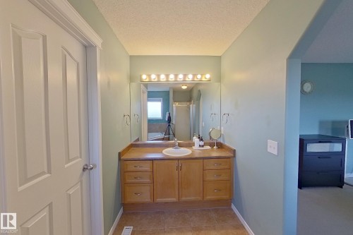 3540 Mclean Crescent, Edmonton, AB - Indoor Photo Showing Bathroom