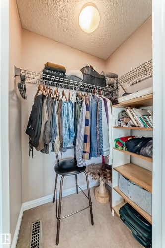 Walk-in closet featuring wire shelving, built-in wooden shelves, carpet flooring, and a ceiling-mounted light fixture - 5333 Terwillegar Boulevard, Edmonton, AB - Indoor With Storage