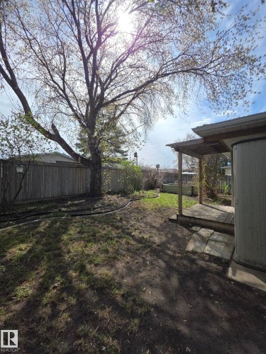 Spacious backyard featuring a large deciduous tree, partial wood privacy fencing, and a covered wood deck - 16 South Ram Crescent, Devon, AB - Outdoor