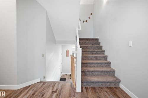 Carpeted staircase with white risers and white newel posts - 2284 Chokecherry Close, Edmonton, AB - Indoor Photo Showing Other Room