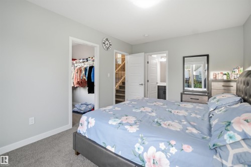 Neutral gray walls complement the gray carpeting - 2284 Chokecherry Close, Edmonton, AB - Indoor Photo Showing Bedroom
