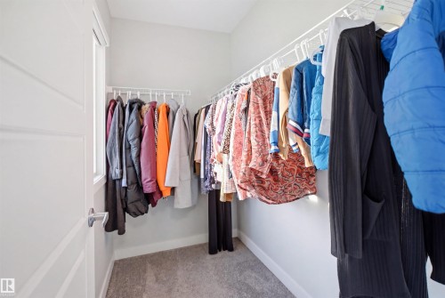 Walk-in closet featuring wall-mounted wire shelving, light gray wall paint, and gray carpet flooring - 2284 Chokecherry Close, Edmonton, AB - Indoor With Storage