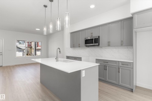 20623 43 Avenue, Edmonton, AB - Indoor Photo Showing Kitchen With Double Sink With Upgraded Kitchen