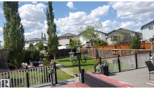 The property features an expansive backyard with a well-maintained lawn and mature trees - 3518 18 Street, Edmonton, AB - Outdoor