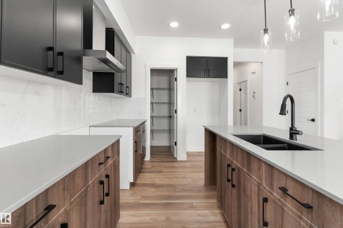 8608 183 Avenue, Edmonton, AB - Indoor Photo Showing Kitchen With Double Sink With Upgraded Kitchen