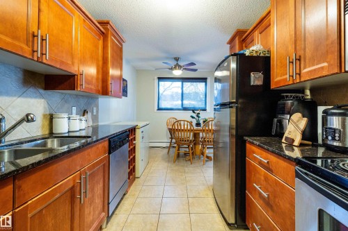 201 10720 84 Avenue, Edmonton, AB - Indoor Photo Showing Kitchen With Double Sink