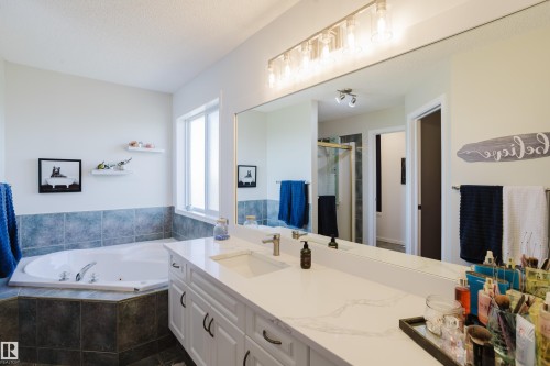 16620 81 Street, Edmonton, AB - Indoor Photo Showing Bathroom