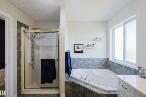 16620 81 Street, Edmonton, AB - Indoor Photo Showing Bathroom