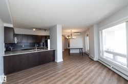 Open-concept living area featuring wood-finish flooring and ample natural light from large windows - 